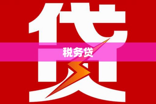 威宁税务贷