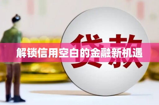 阳新解锁信用空白的金融新机遇