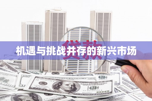 大东机遇与挑战并存的新兴市场