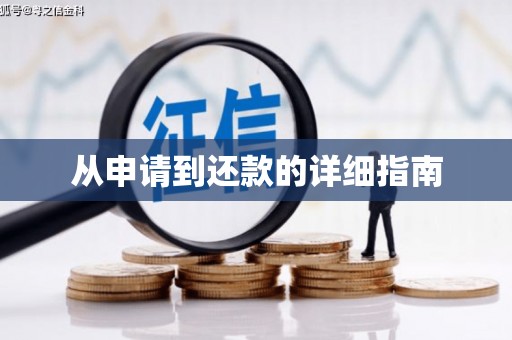苍南从申请到还款的详细指南