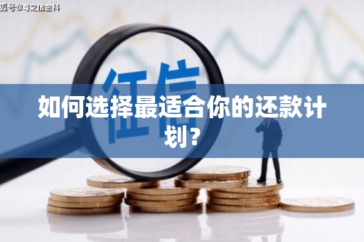 右玉如何选择最适合你的还款计划？
