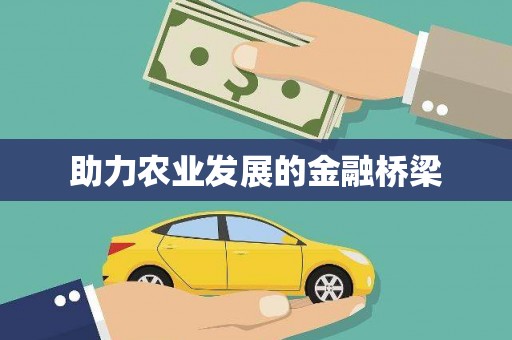 皇姑助力农业发展的金融桥梁