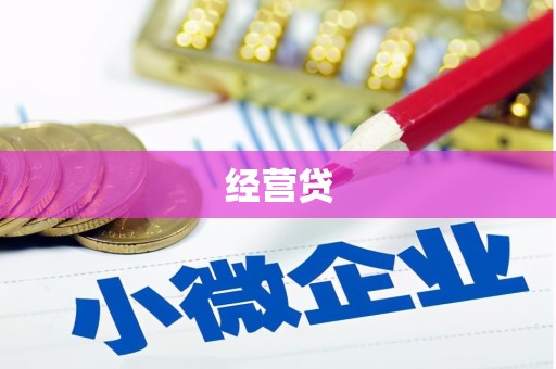 西丰经营贷
